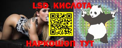 таблы Новодвинск