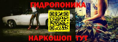таблы Новодвинск